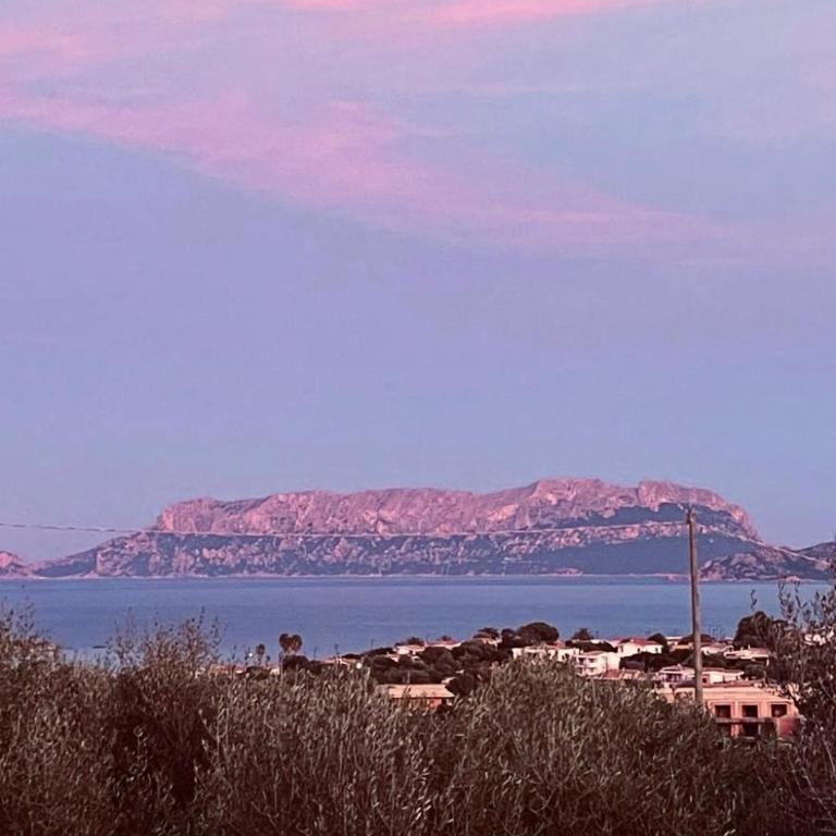 Bellavista Vacation stunning Tavolara sea view terrace - Casa con 3 Camere da Letto - 38