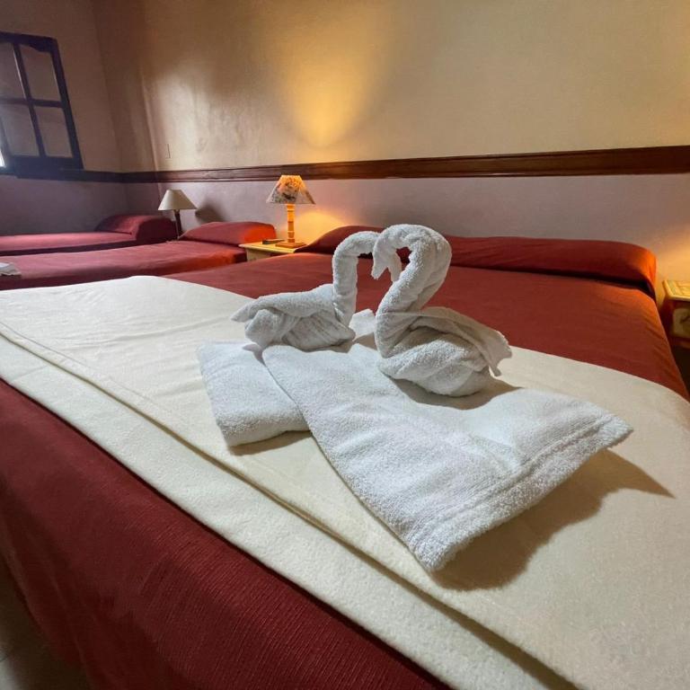 Gran Turín Hotel Boutique parque,arte y tecnología - Habitación Doble Deluxe - 1 o 2 camas - 3