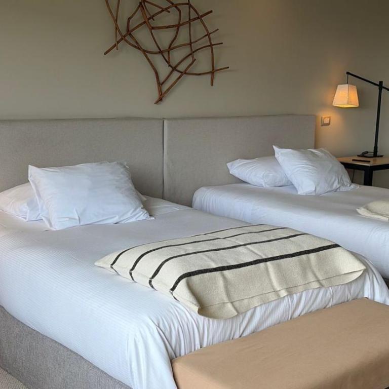 Hotel Patagonico - Habitación Doble - 2 camas - 1