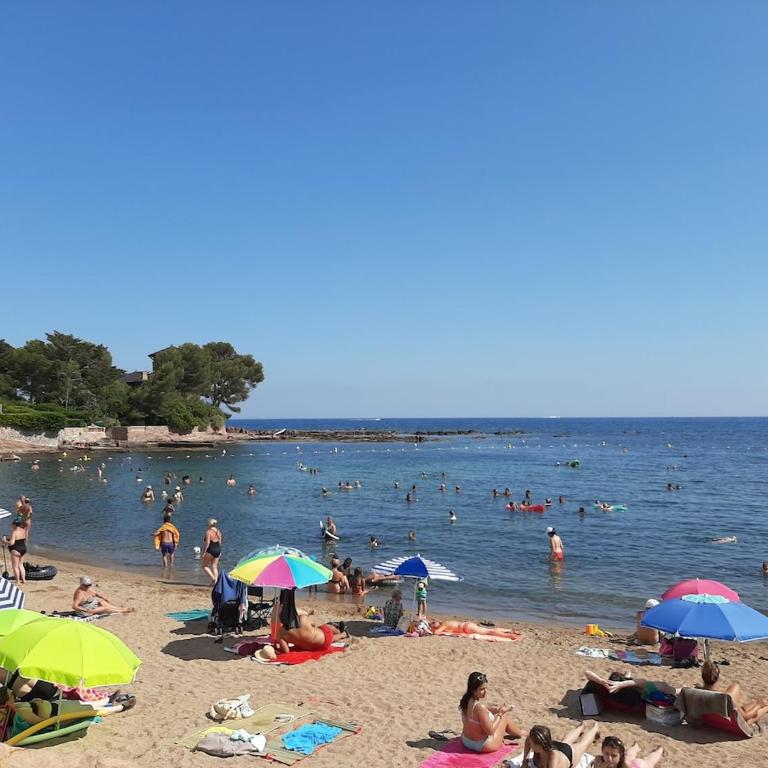 appart Saint Raphael plage - Studio with Terrace - 2