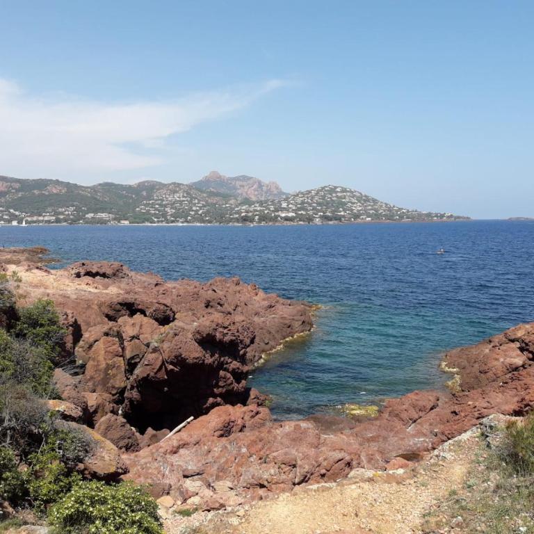 appart Saint Raphael plage - Studio with Terrace - 14