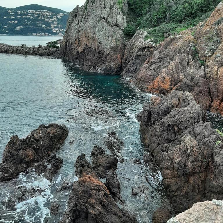 appart Saint Raphael plage - Studio with Terrace - 23