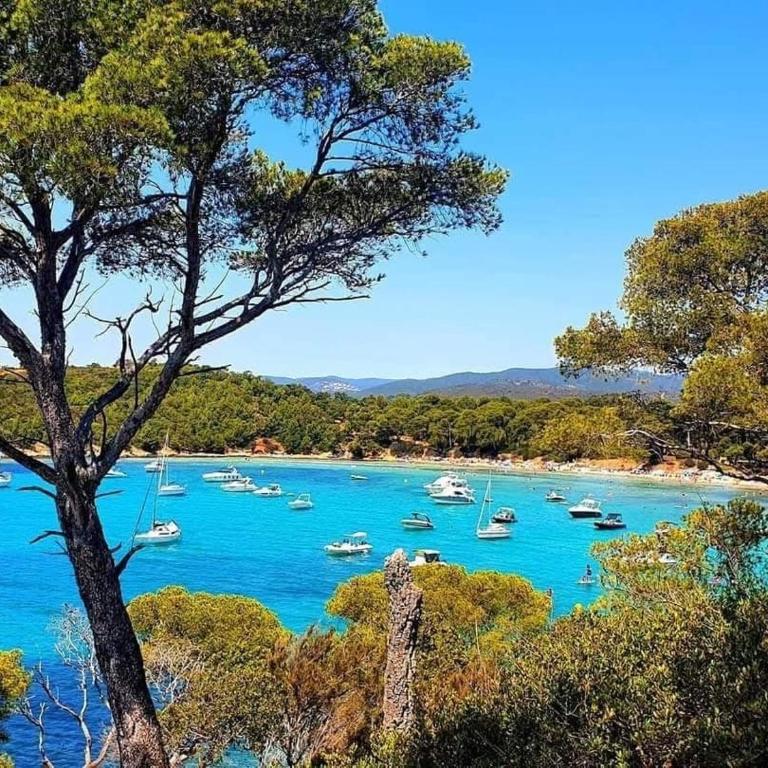Zéro voiture Plage et Centre-ville à pied - Apartamento de 2 dormitorios - 28