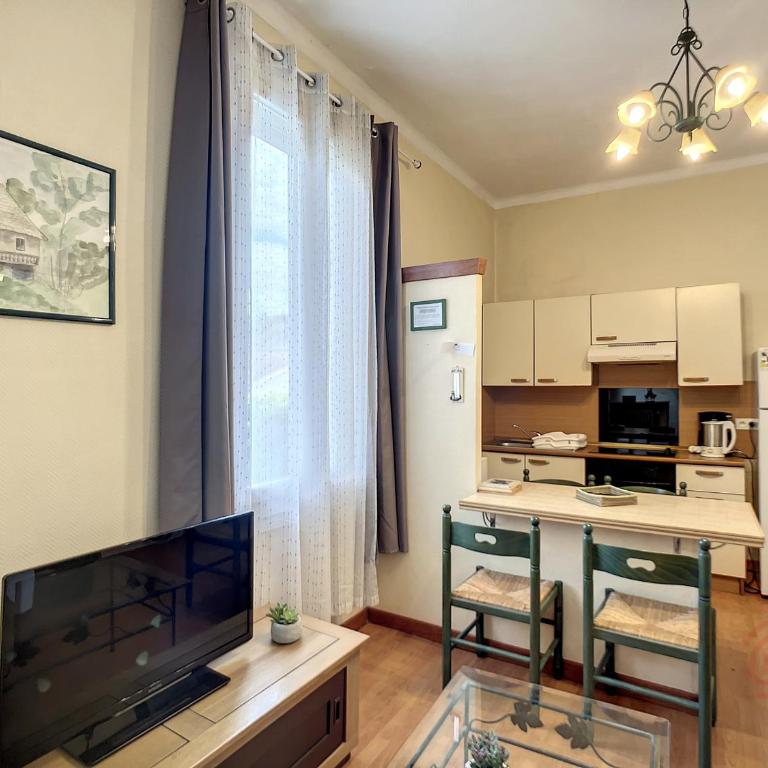 Bel F2 lumineux avec terrasse privée, à 5 min des Thermes et cœur de ville, animaux acceptés - FR-1-451-37 - Appartamento con 1 Camera da Letto - 4
