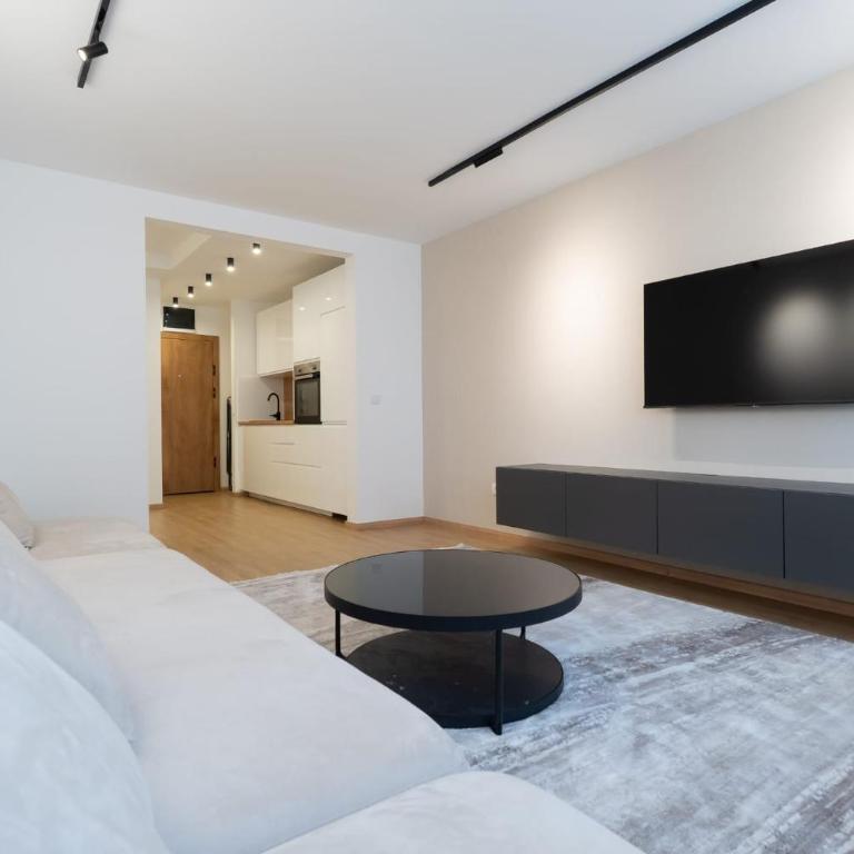 Sunny Apartment with Balcony and great Wi-Fi - Two-Bedroom Apartment - 1
