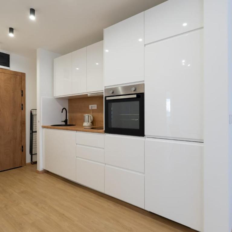 Sunny Apartment with Balcony and great Wi-Fi - Two-Bedroom Apartment - 14