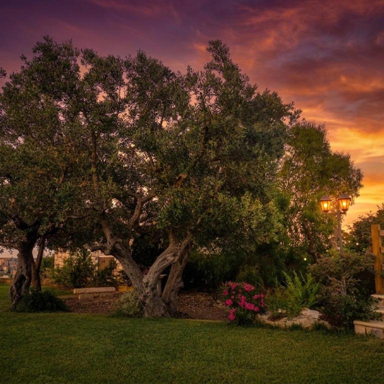 Trulli Alba di Mare - Villa con Piscina Privata - 29