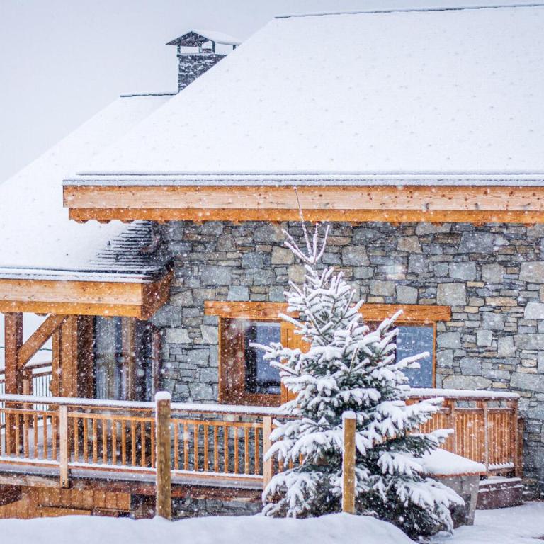 Chalet luxueux sur les pistes, sauna, parking inclus - FR-1-344-1219 - Chalet - 12