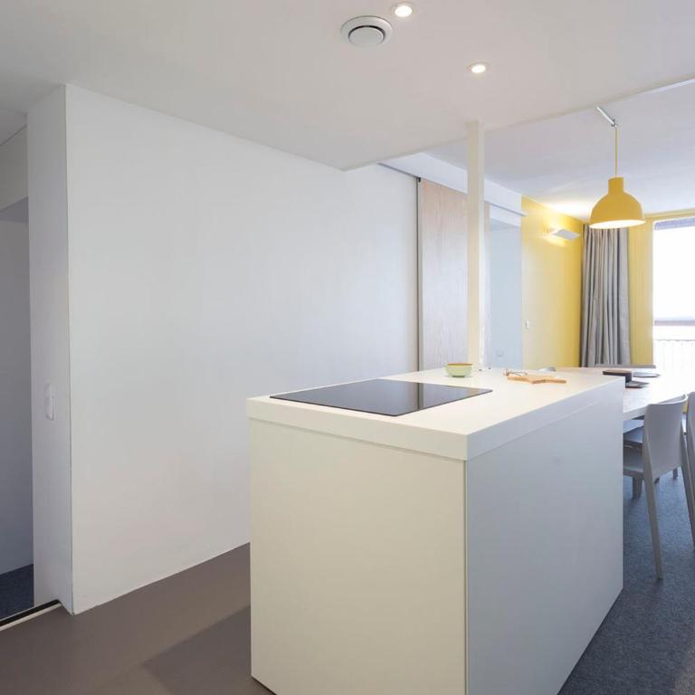 Appartement rénové 3 pièces avec balcon et WIFI - FR-1-346-533 - Appartement - 24