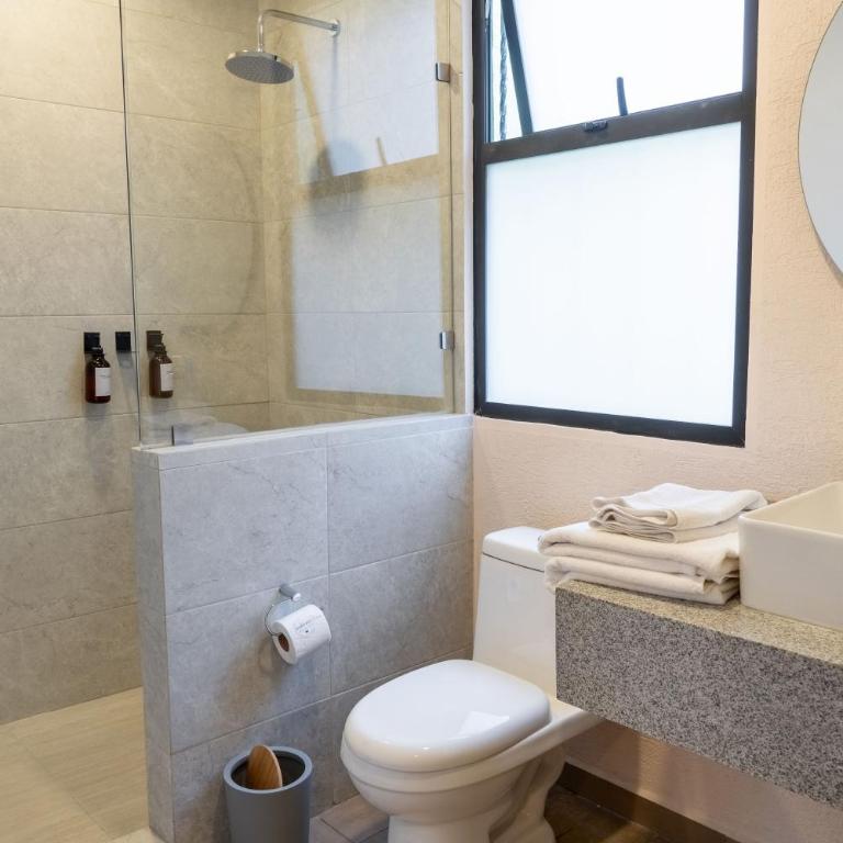 Atrio Polanco - Deluxe Room - 3