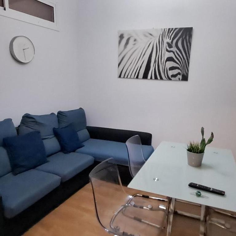 Catedral Larios Centro - Apartamento de 3 dormitorios - 20