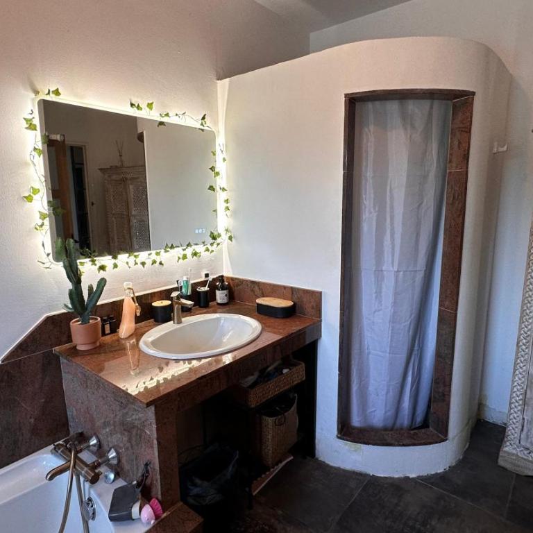 Maison 2 Chambres 1 salle de bain et Pool house 1 chambre salle d'eau - Lorgues - Villa 3 Chambres - 22