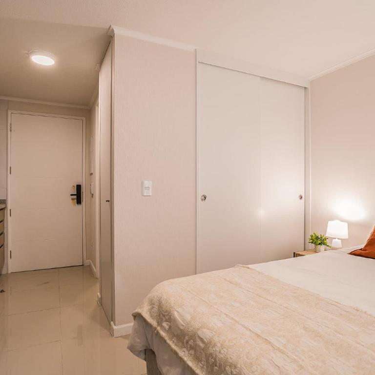 Descansa en este comodo studio en Santiago Centro - Studio - 11