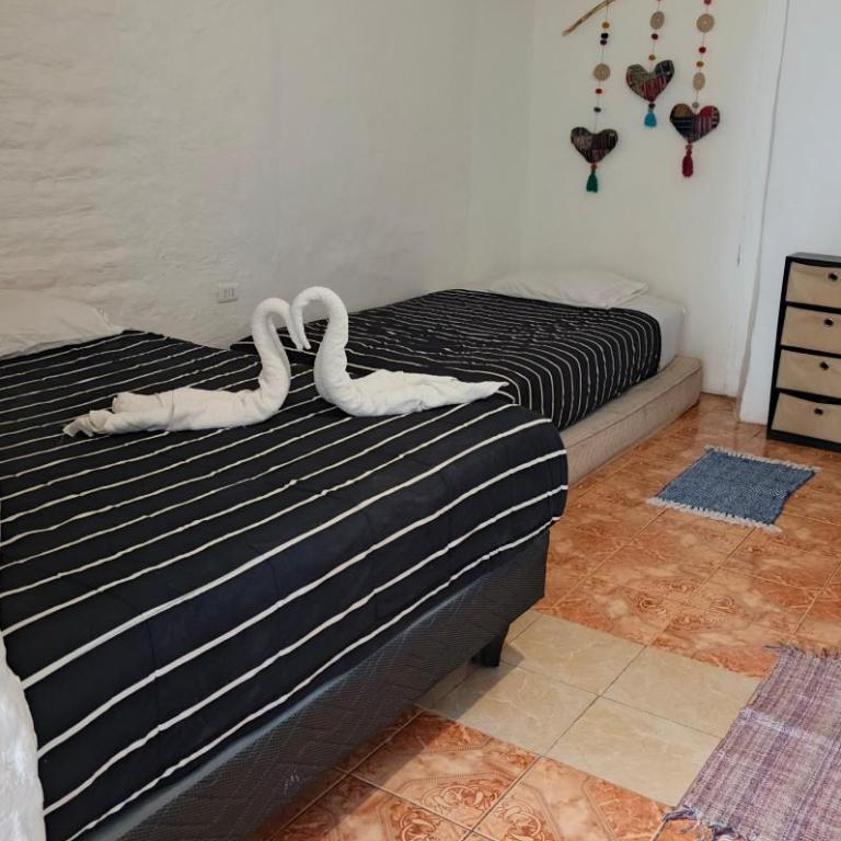 Hostal Nativo SPA - Mixed Dormitory Room - 1