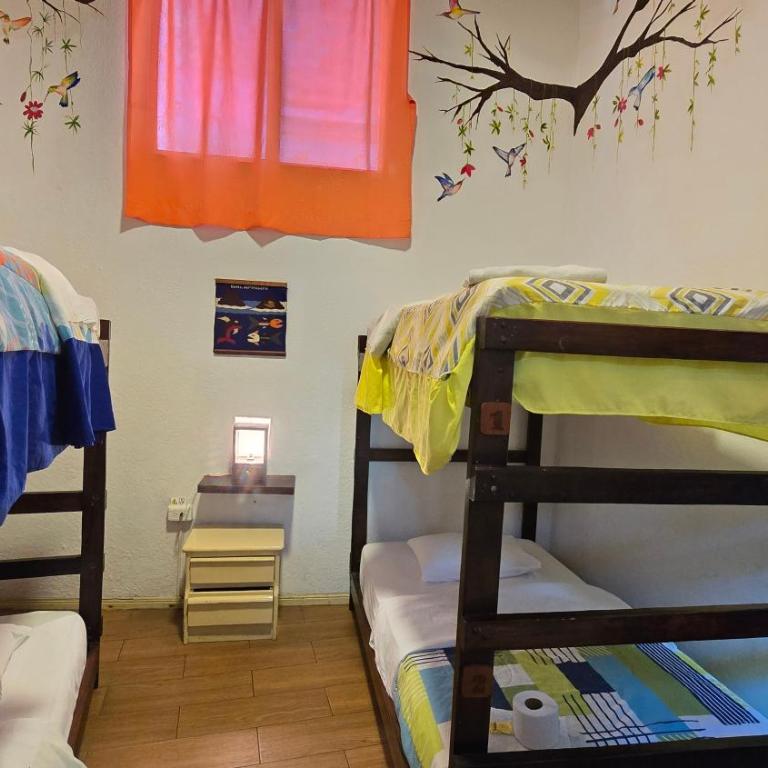 Santa Cruz Backpackers Hostal - Quadruple Room with Bathroom - 5