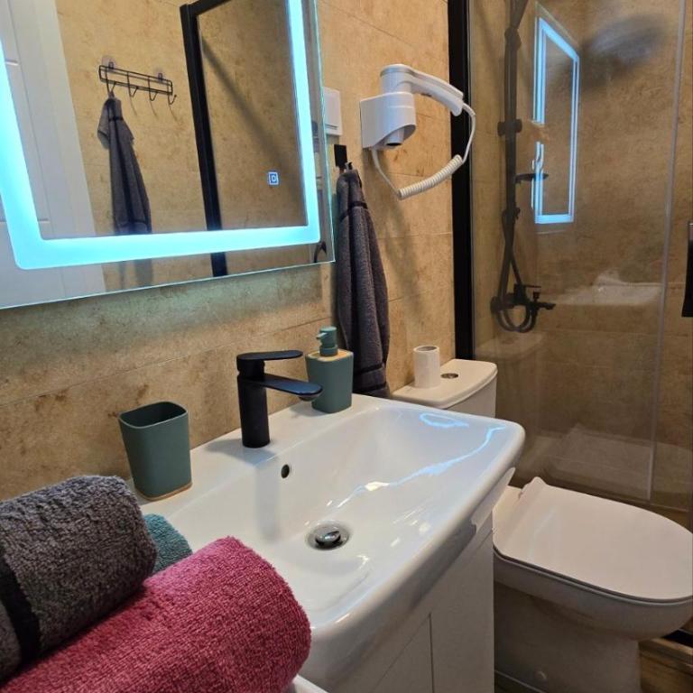 Botanica Guest House - Apartman sa 1 Spavaćom Sobom - 10