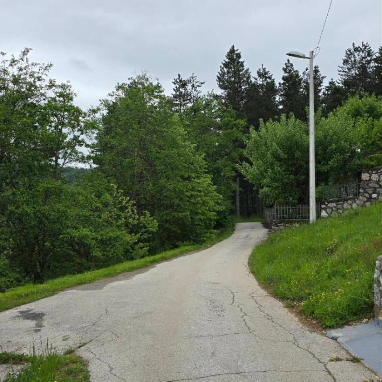 Botanica Guest House - Apartman sa 1 Spavaćom Sobom - 16