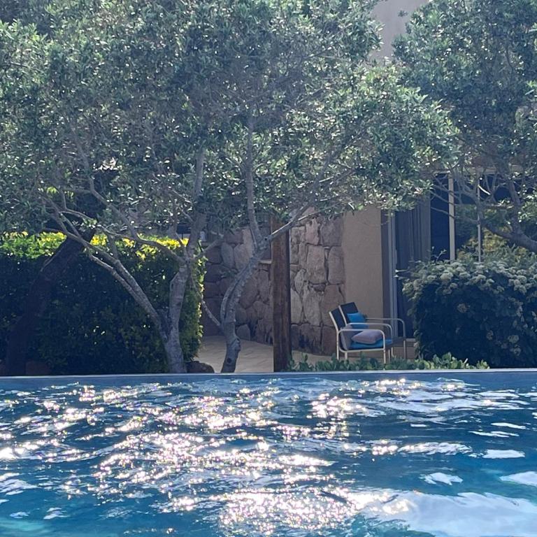 Concadoro - Villa with Private Pool - 4
