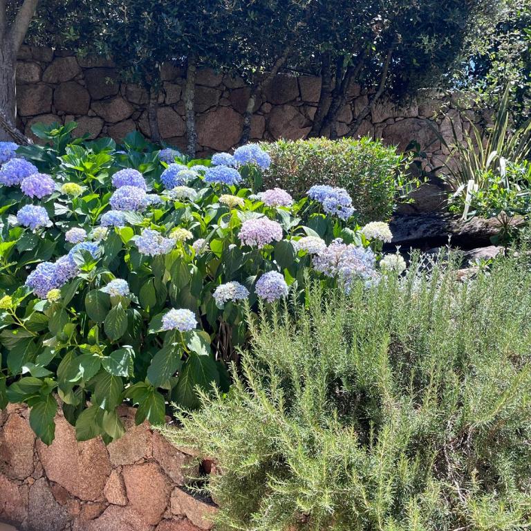 Concadoro - Villa with Private Pool - 7