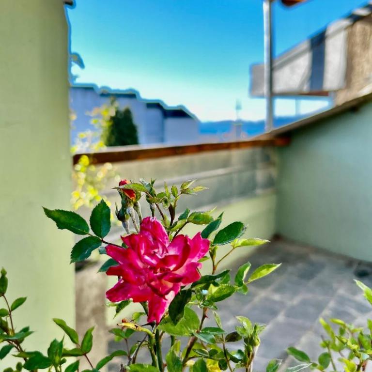 Experiencia con Terraza - Centro - Apartamento de 2 dormitorios - 1