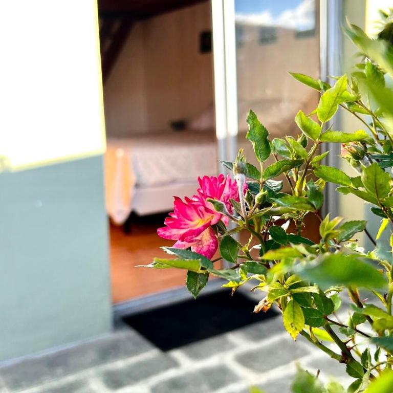 Experiencia con Terraza - Centro - Apartamento de 2 dormitorios - 6