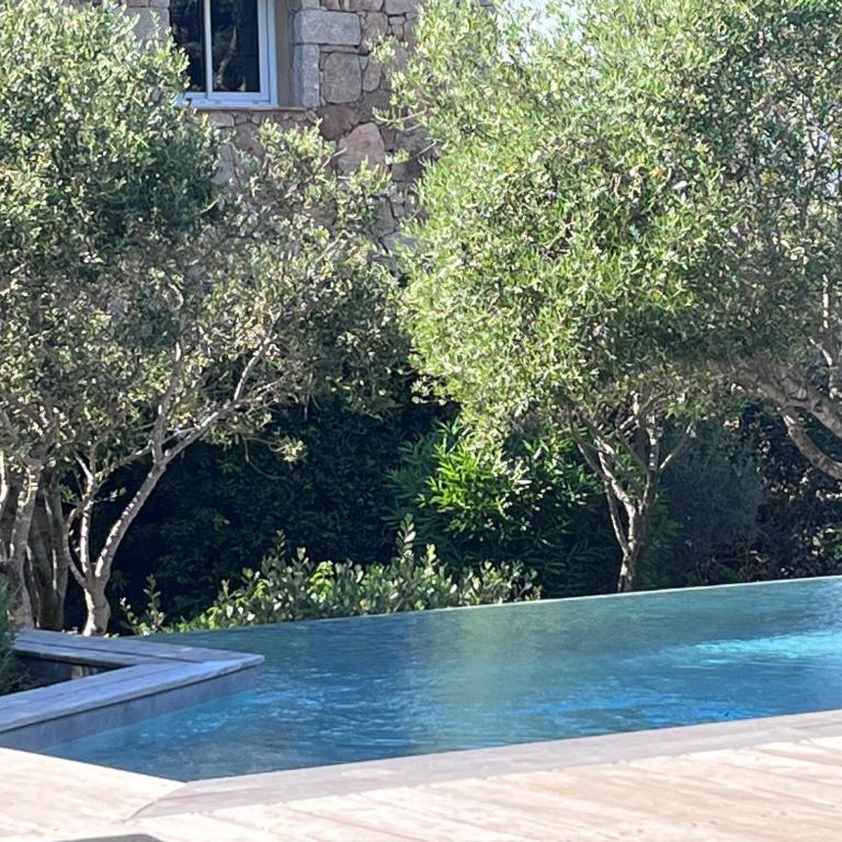 Concadoro - Villa with Private Pool - 2