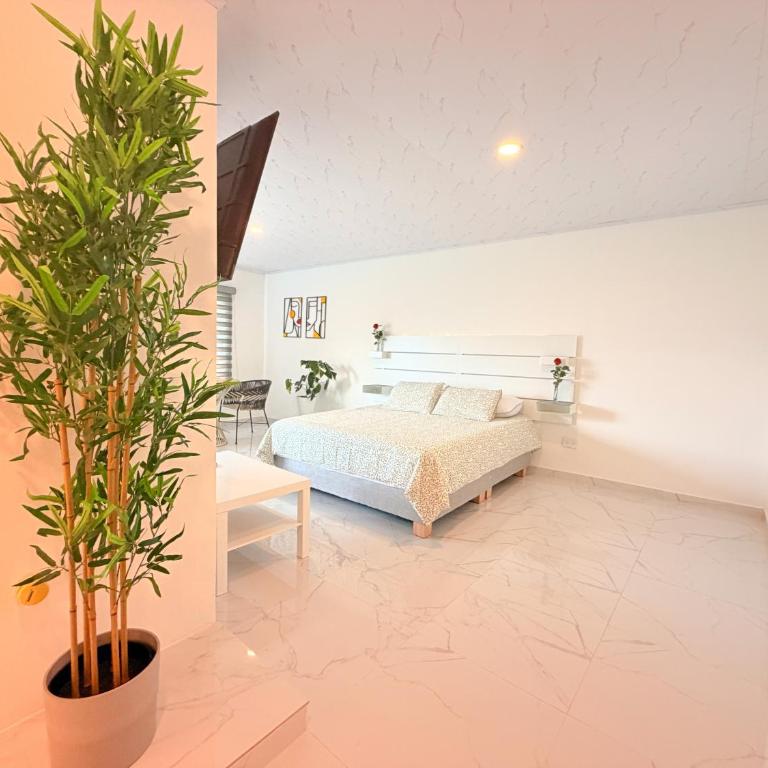 Ecovilla Cali - Villa Deluxe - 9