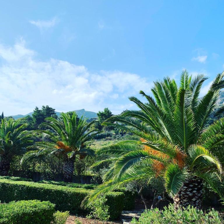 Villa delle Rose - Villa - 7