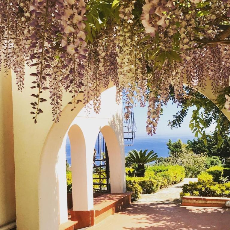 Villa delle Rose - Villa - 2