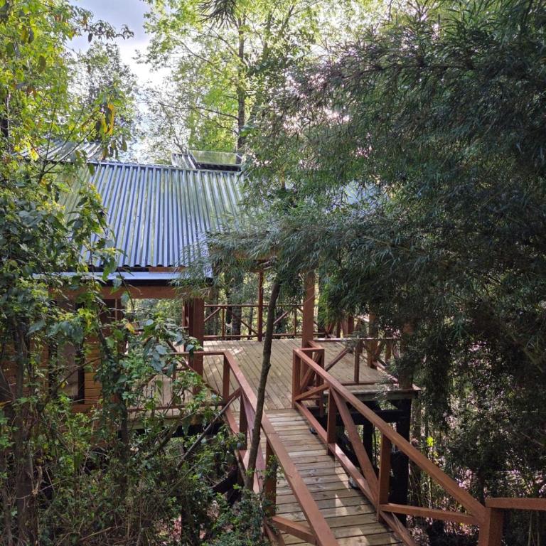 Casa inmersa en bosque de la Reserva Huilo Huilo - Casa con 1 dormitorio - 22