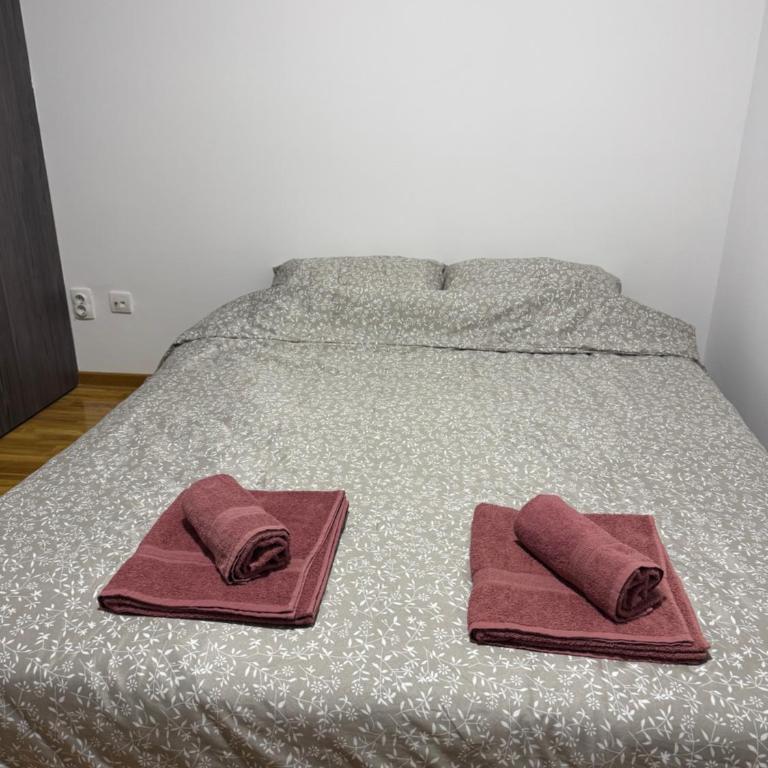 D2Apartman 2 - Apartman sa 2 Spavaće Sobe - 14