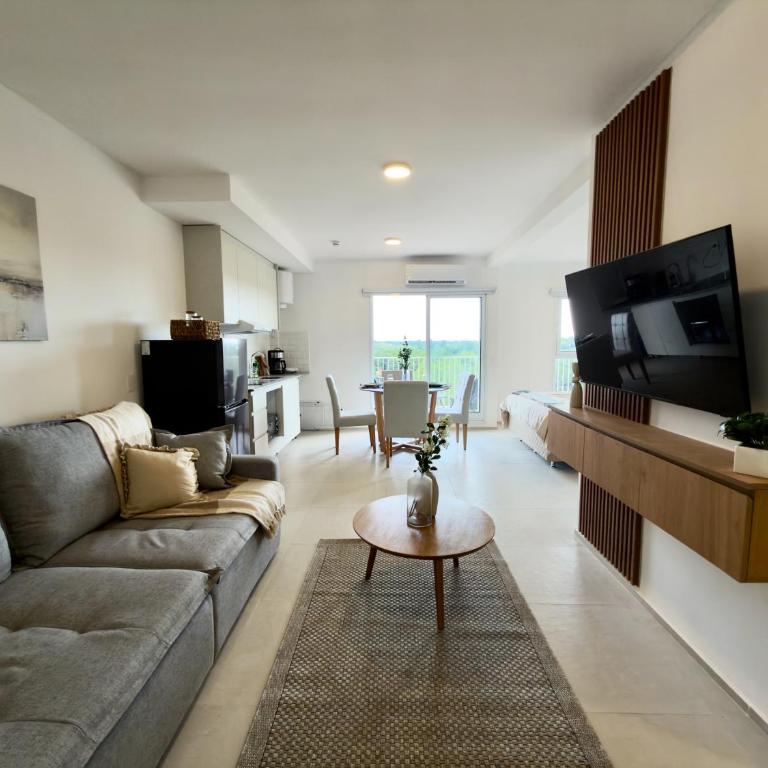 Apartamento nuevo monoambiente cerca de Asunción 605 - One-Bedroom Apartment with Balcony - 30