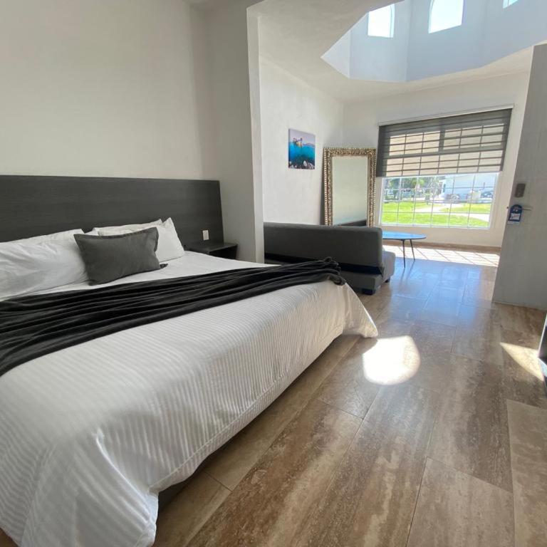 Vita Grand San Miguel de Allende - Suite de 1 dormitorio - 6