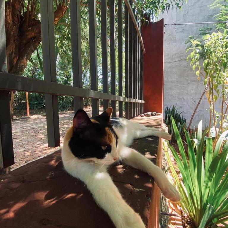 Double room at Iguassu Falls - One-Bedroom Apartment - 33