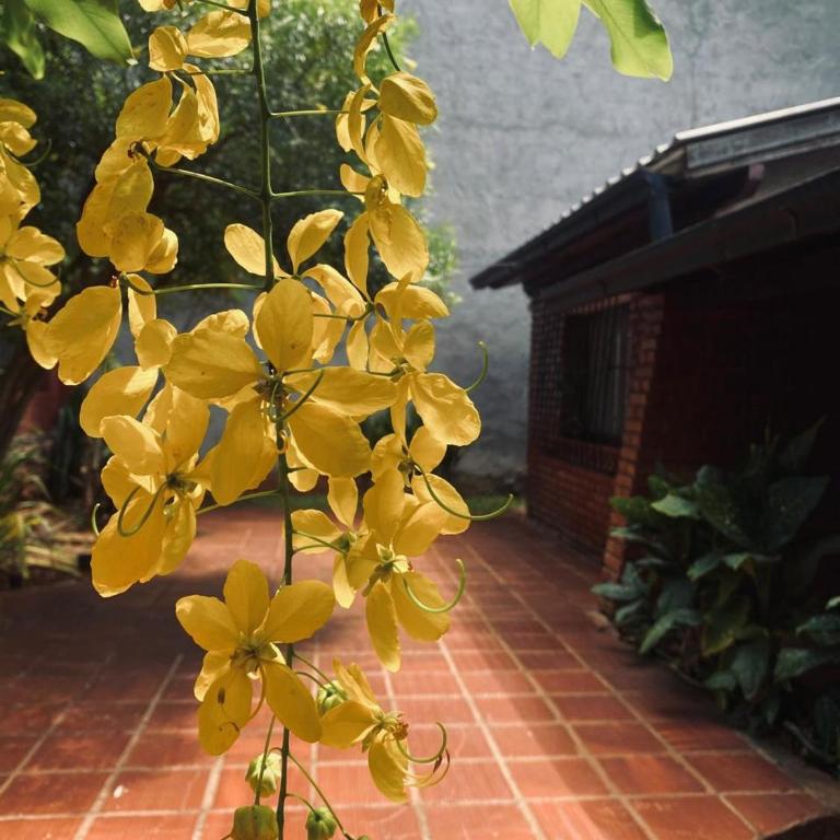 Double room at Iguassu Falls - One-Bedroom Apartment - 49