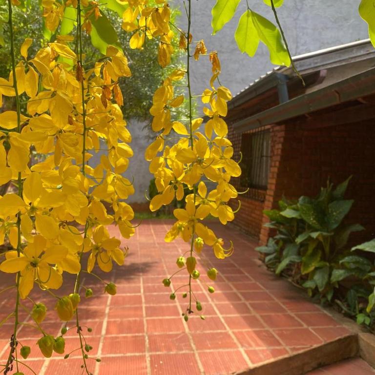 Double room at Iguassu Falls - One-Bedroom Apartment - 38