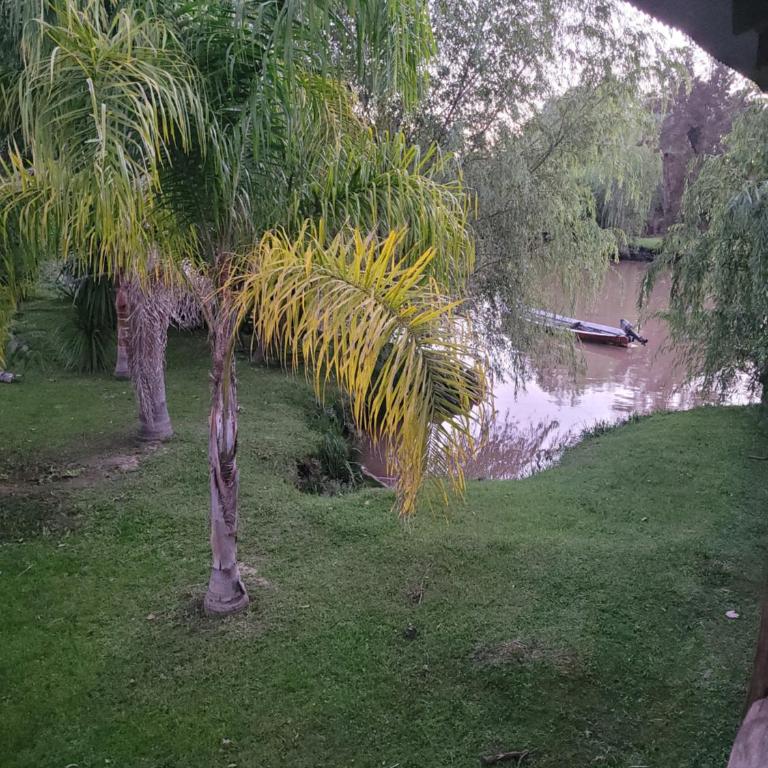 Isla Delta Tigre Buenos Aires - Apartamento de 1 dormitorio - 3