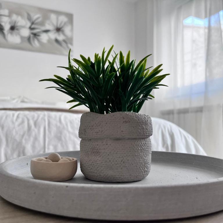 Primavera Apartment - One-Bedroom Apartment - 3