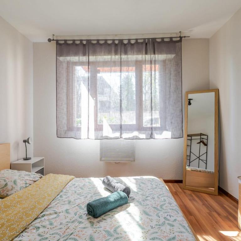 Appartement cosy à Strasbourg - Appartamento con 1 Camera da Letto - 16