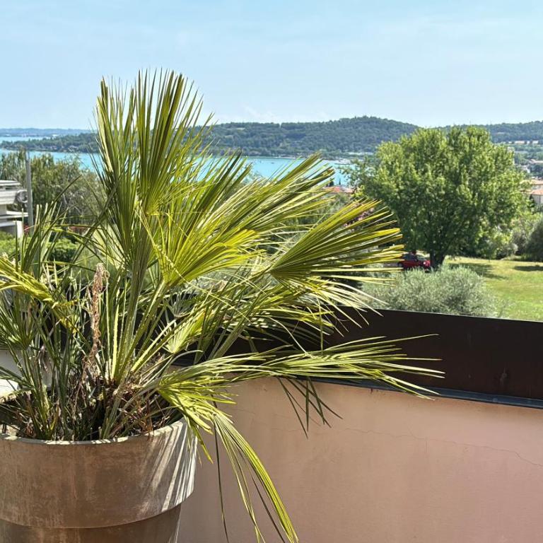 Sunshine Luxury Apartment - spacious house - Lake View - Pool - Two-Bedroom Apartment - 18
