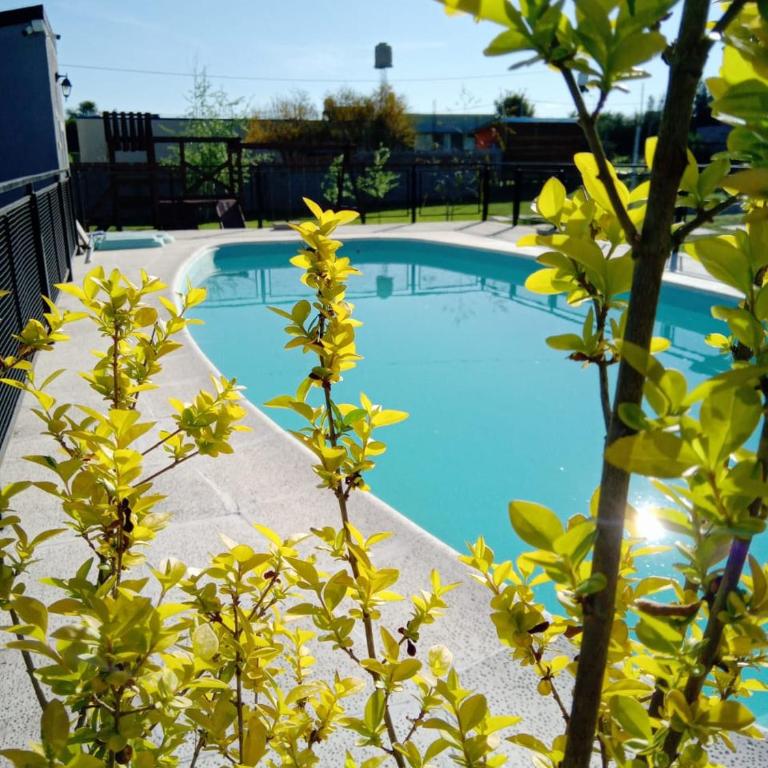 Complejo Aura - Casa de 2 dormitorios - 23