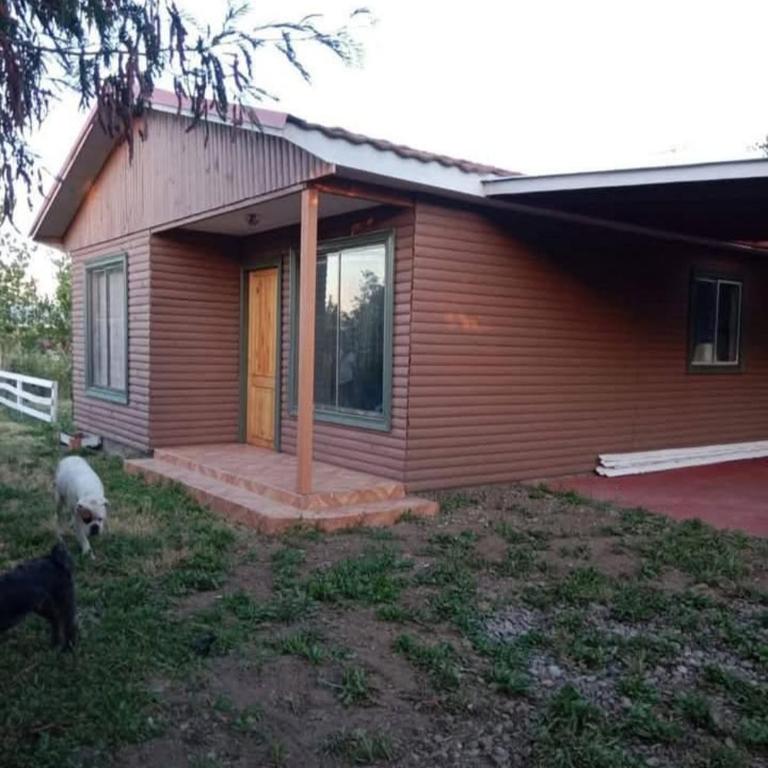 Hospedaje Monterrico - Apartamento de 3 dormitorios - 7