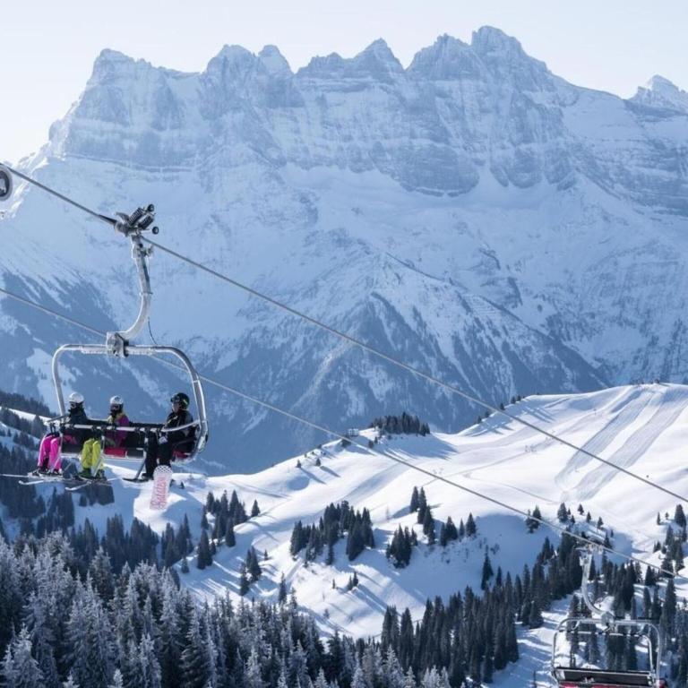 Apartment near Portes du Soleil ski area - Appartement 3 Chambres - 24
