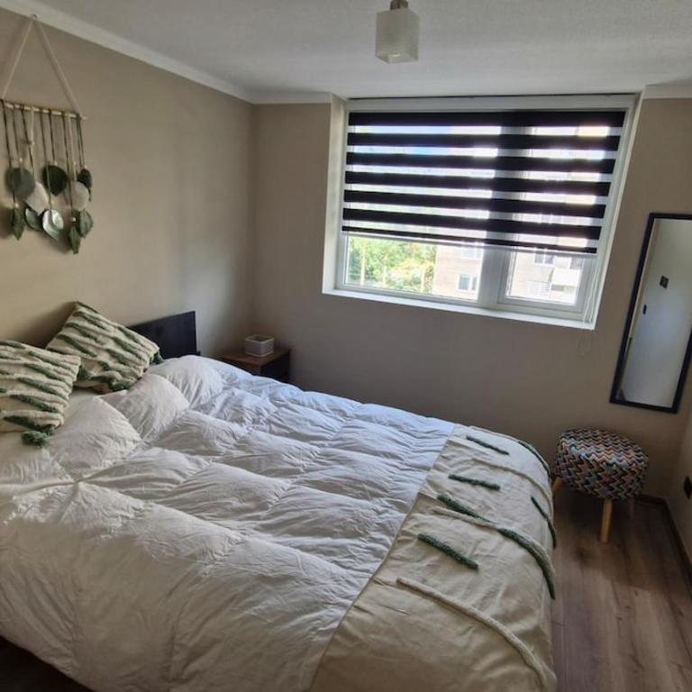 Departamento en Valdivia Luminoso y moderno - Apartamento de 2 dormitorios - 3