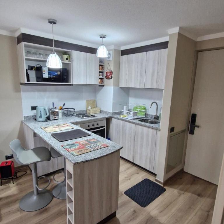 Departamento en Valdivia Luminoso y moderno - Apartamento de 2 dormitorios - 4