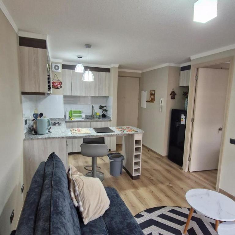 Departamento en Valdivia Luminoso y moderno - Apartamento de 2 dormitorios - 9