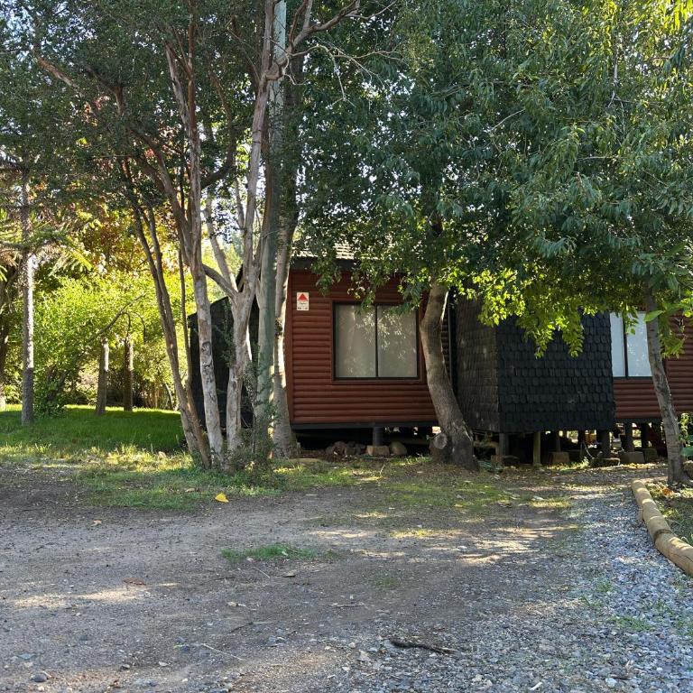 Cabaña Pingueral - Three-Bedroom House - 21