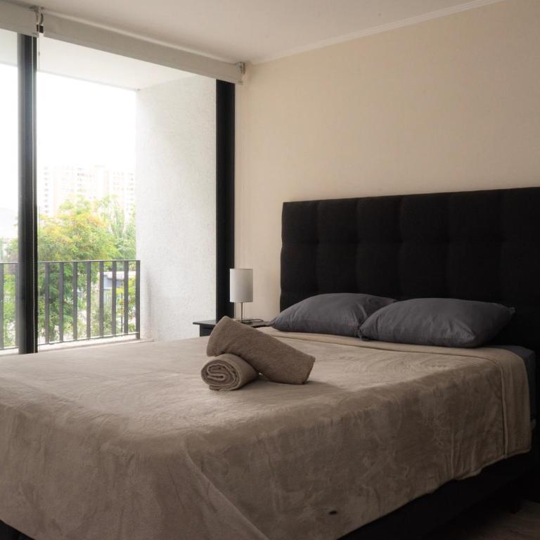 Frente a Hospital U de Chile - One-Bedroom Apartment - 3