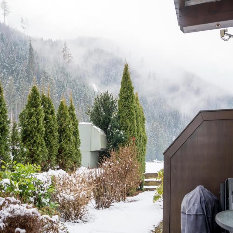 Family Apartment near Wildkogel Ski-lift - Ferienhaus mit 1 Schlafzimmer - 14