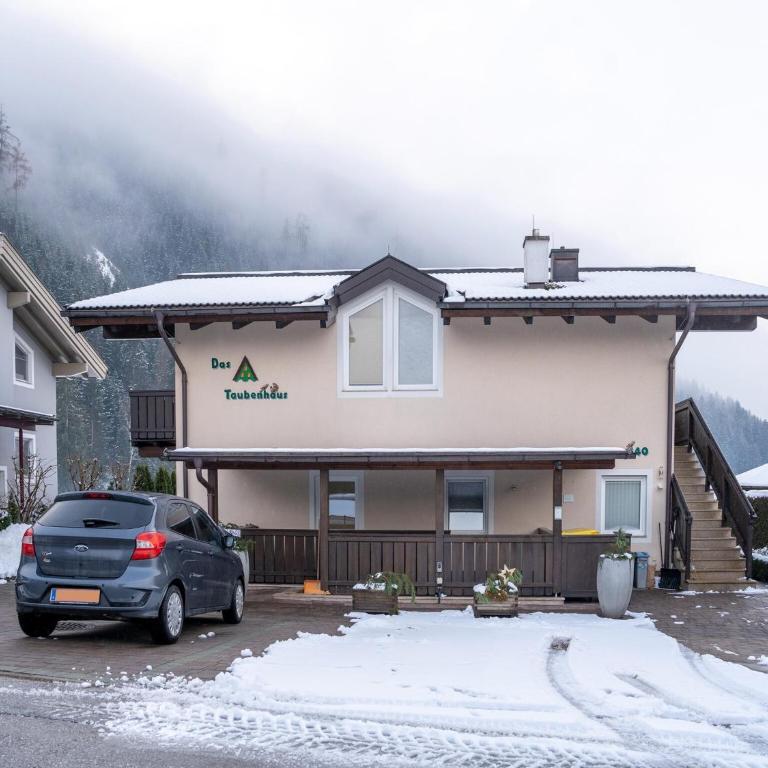 Family Apartment near Wildkogel Ski-lift - Ferienhaus mit 1 Schlafzimmer - 30